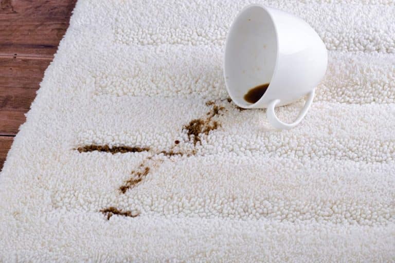 Cleaning Carpet Stains with Baking Soda & Essential Oils